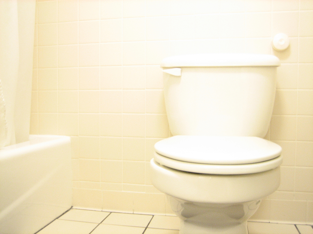 Incontinencia Fecal